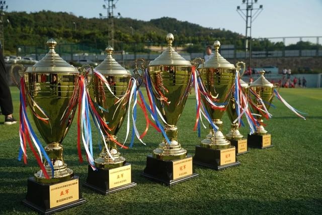 郑钦文告别多伦多资格赛，世界排名骤降至第123位